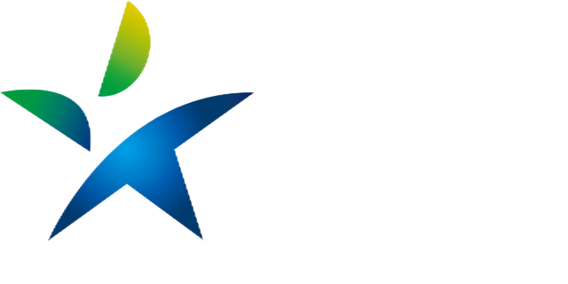 比特星 BIT STAR